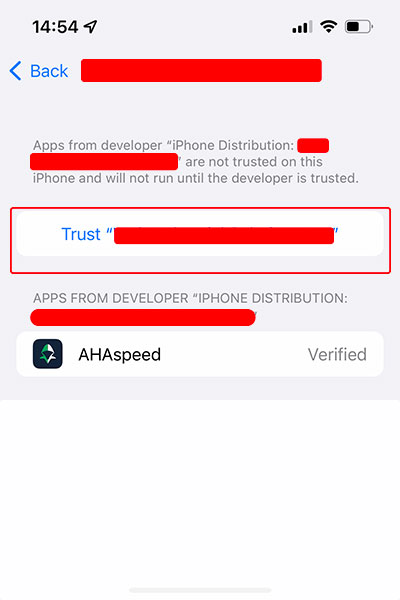 WorldGo ios install custom enterprise app, step 4 - tap developer profile settings, trust the developer